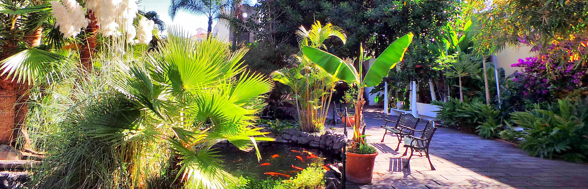 Ubicación, dirección y localización del Jardín de Orquídeas en Puerto de la Cruz